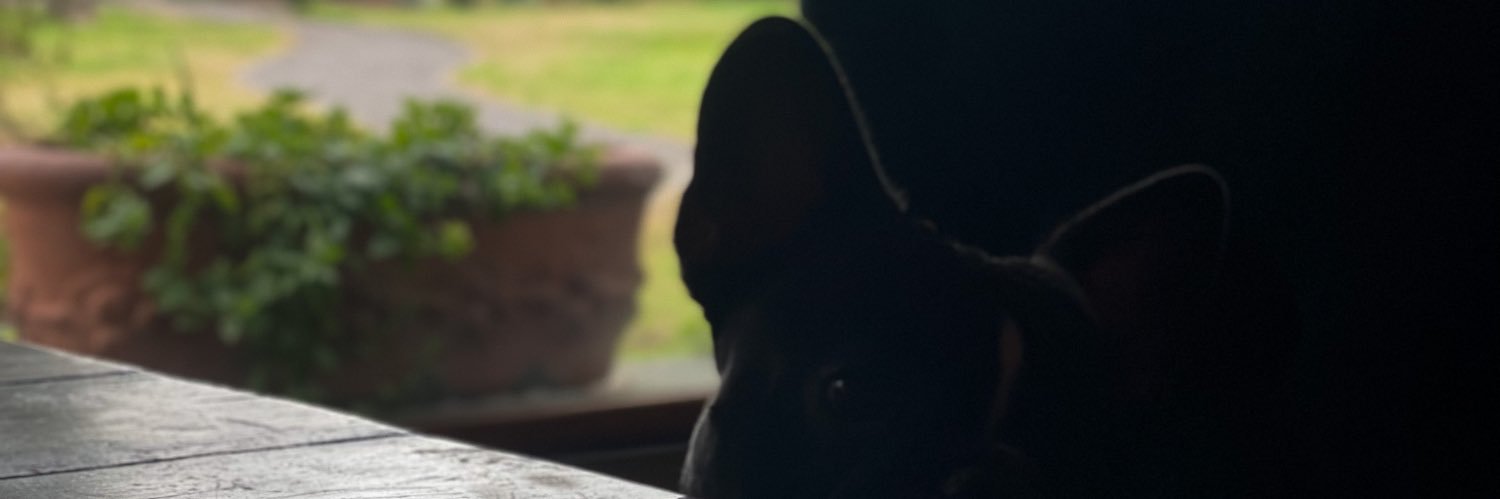 AlmeiraOli's profile banner image