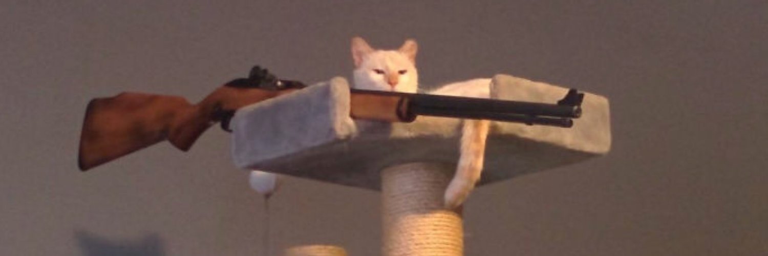 Kriszizzy's profile banner image