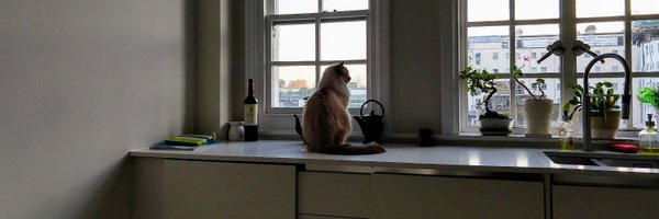 dmoisset Profile Banner