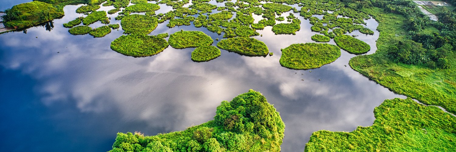 UGA Geography banner