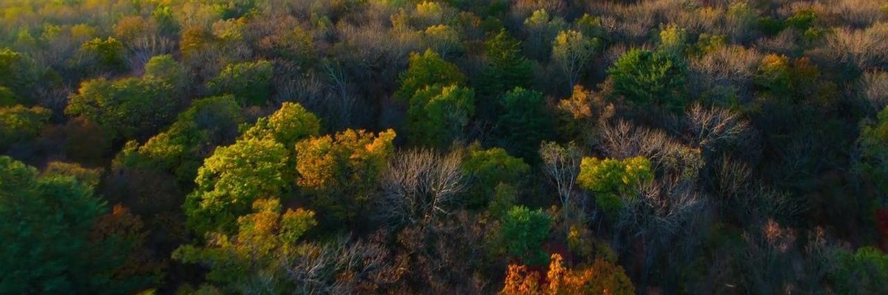 Simon Wandera banner