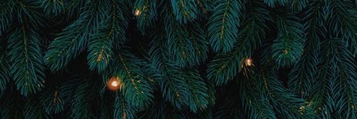 aidenkv1 banner