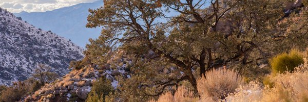 ColinBMackenzie Profile Banner