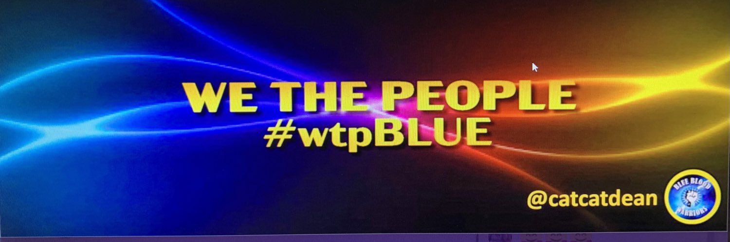 Dean #TheResistantcatcat🌊❄️🐈🐈💫🦋🕊🇺🇸❤️ banner