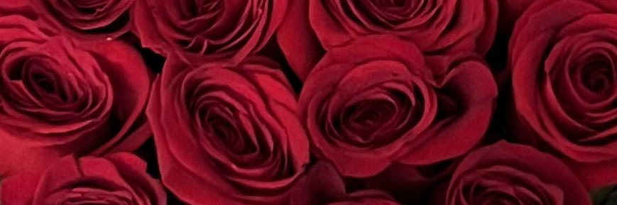 Leillaa0's profile banner image