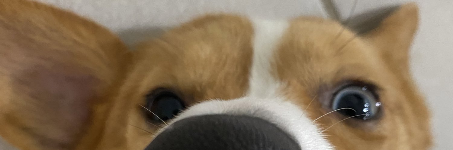 patriciacrf's profile banner image