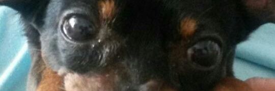 Magalyrf's profile banner image