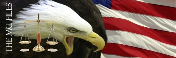 TheMcFiles45 Profile Banner