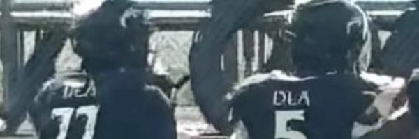 Dandrehunter Profile Banner