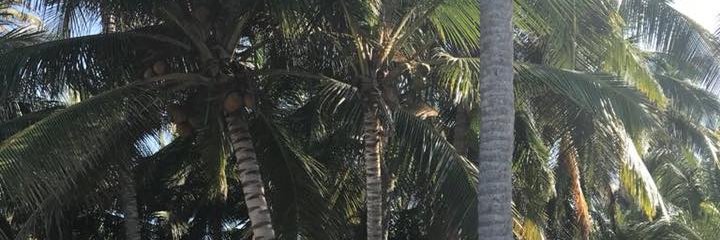 PablitoMelian's profile banner image