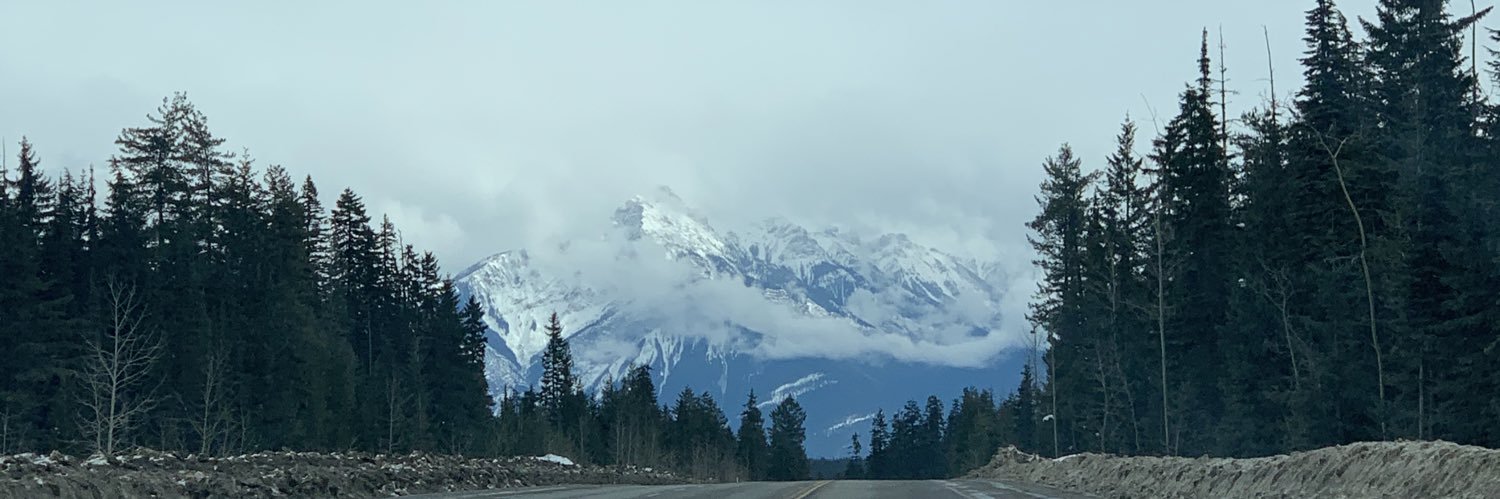 allientxl's profile banner image