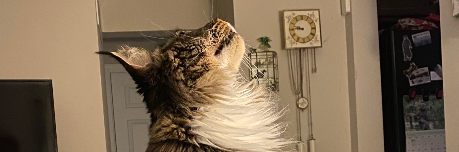 taelcat's profile banner image
