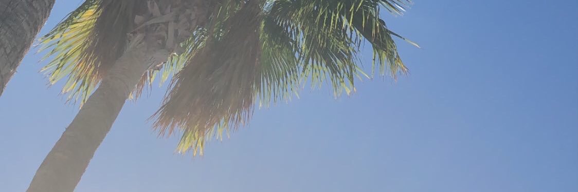 lynniiB's profile banner image