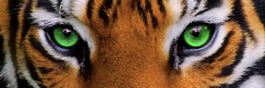 trader540's profile banner image