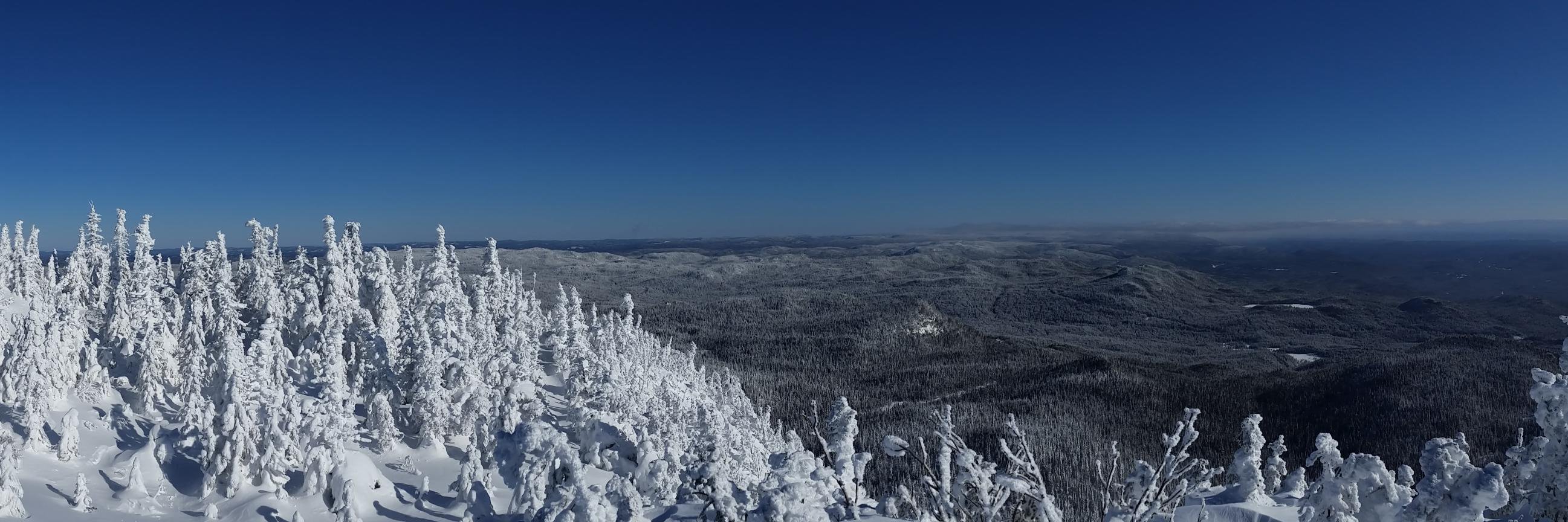 Catherine Paradis banner