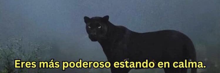 sabanacho24's profile banner image