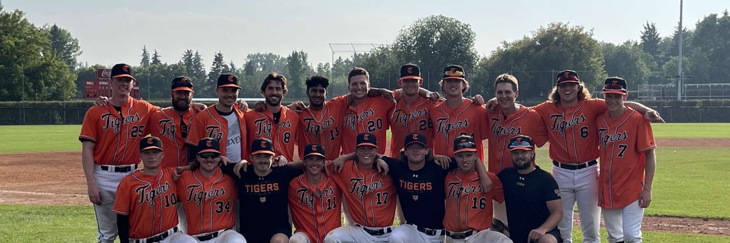 St. Albert Tigers banner