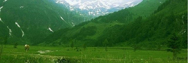 alsulami1984's profile banner image