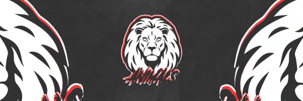 Animals_srl Profile Banner