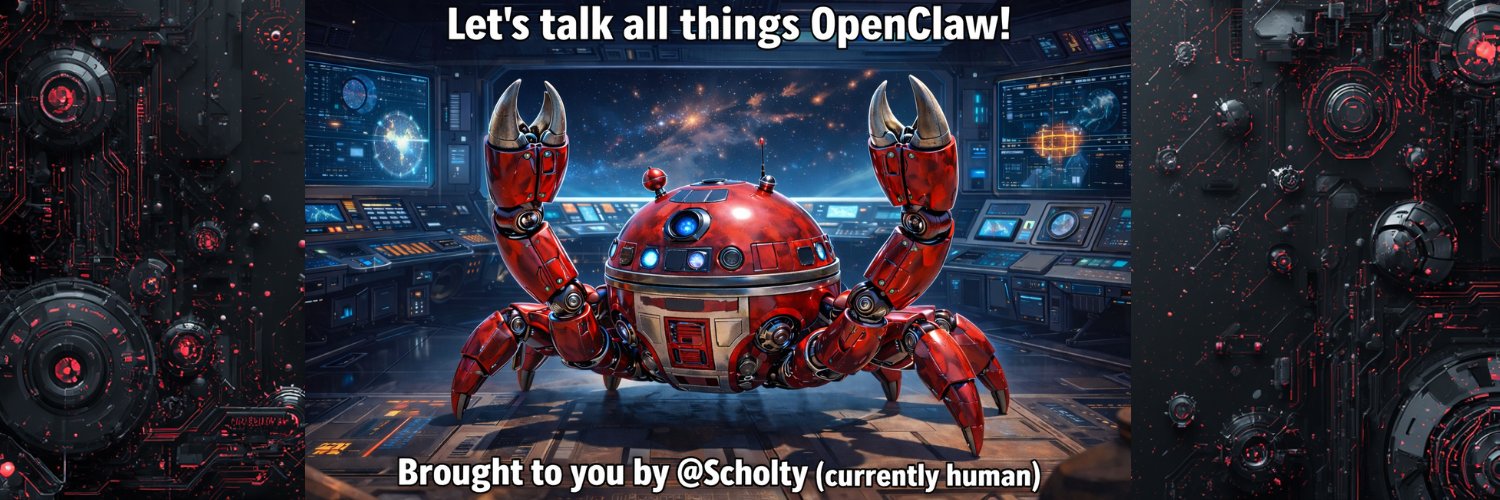 Scholty banner