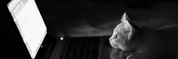 babisbabss's profile banner image