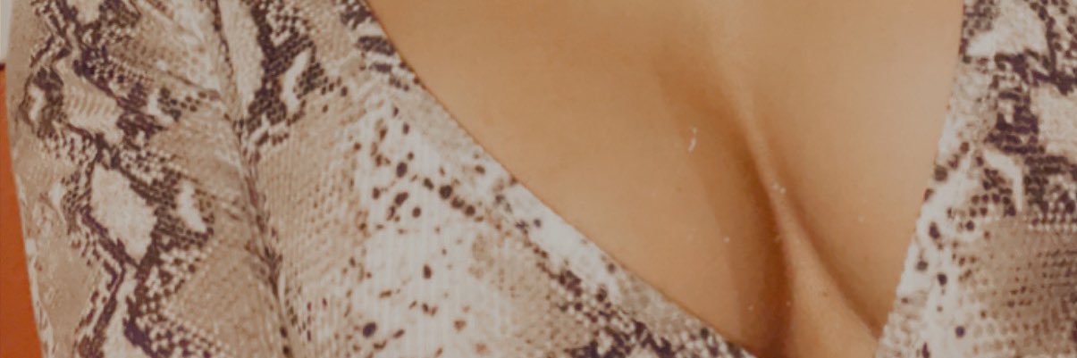 TS Sofia banner