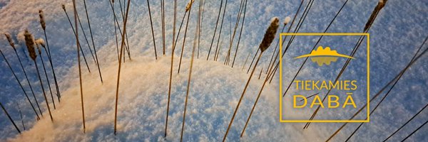 dabaDAP Profile Banner