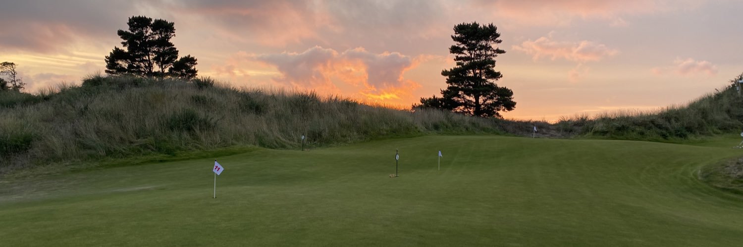 Ted Williams cpa ca banner