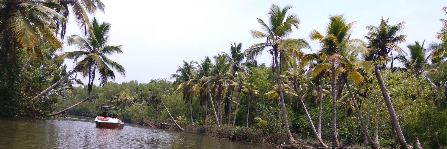 anksee's profile banner image