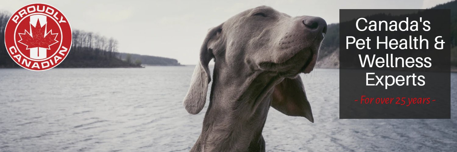CanPetConn's profile banner image
