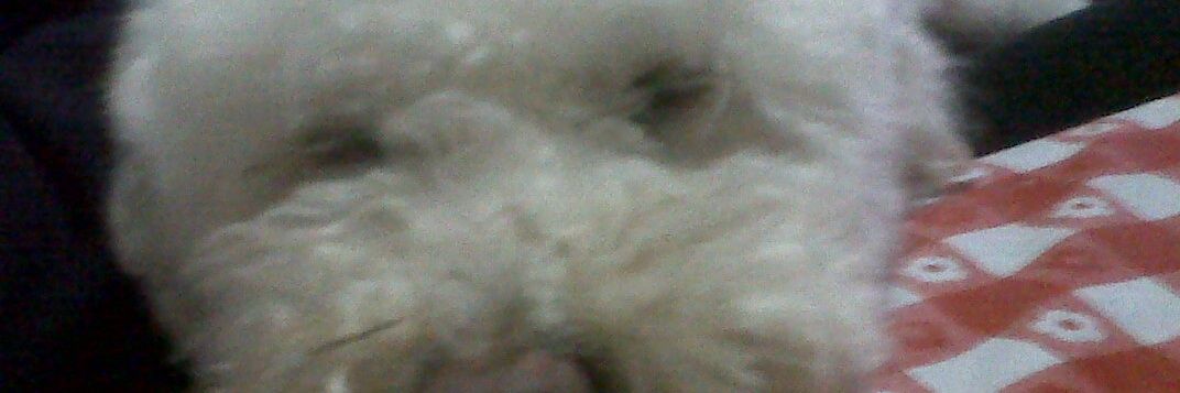 kale_1970's profile banner image