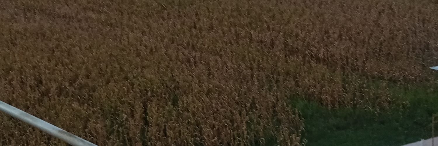 cesarcaigua's profile banner image