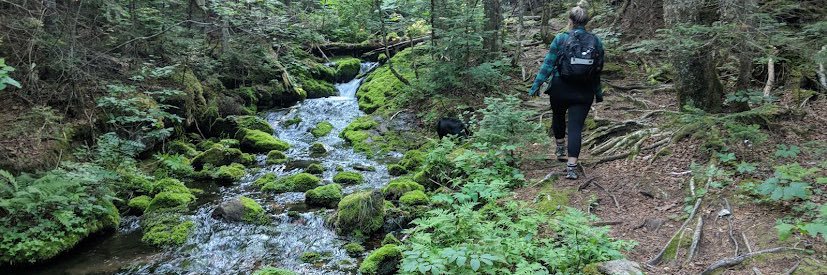 Kelsey, nice ✨ banner