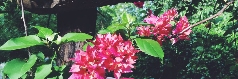 Clara_Busse's profile banner image