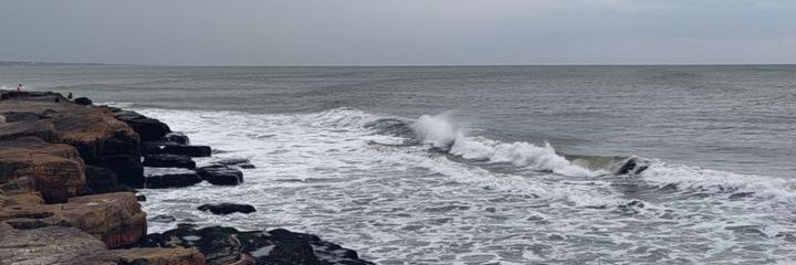 _camisilvero's profile banner image