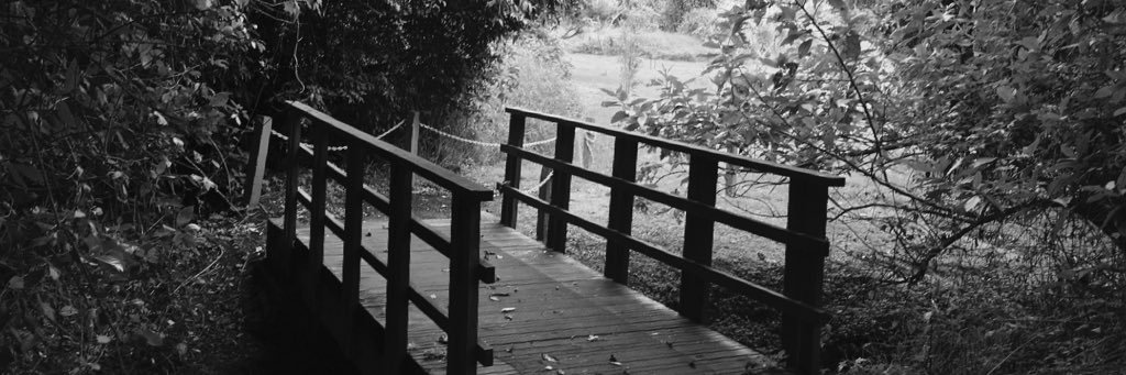 oxnock's profile banner image