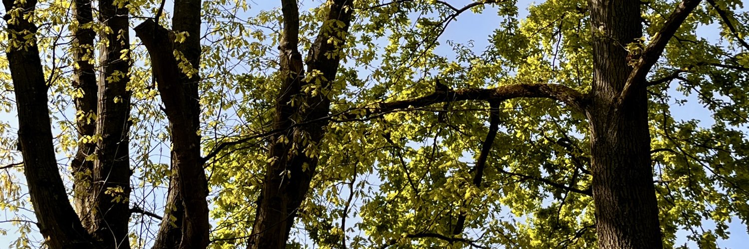 aeihrt's profile banner image