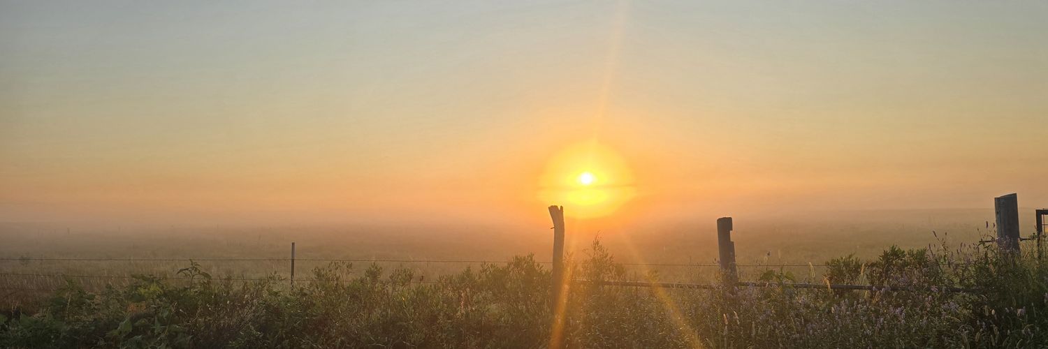 LeishaWimmer9's profile banner image