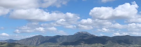 JacksonSnyder banner