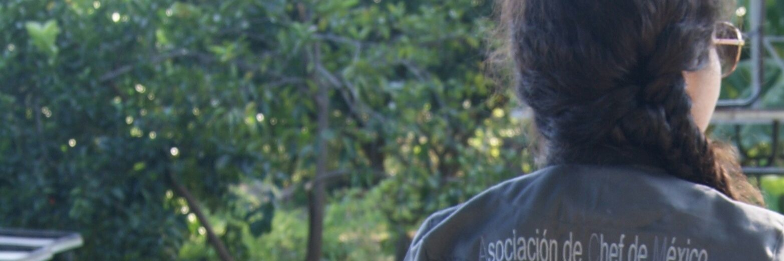 Mony_VD's profile banner image
