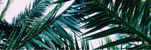 AnnaFerrer172's profile banner image