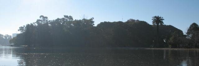 almacrae's profile banner image