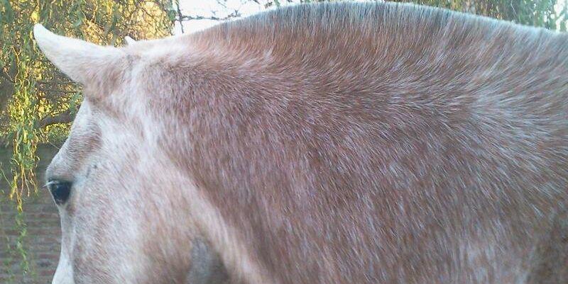 Mense05's profile banner image