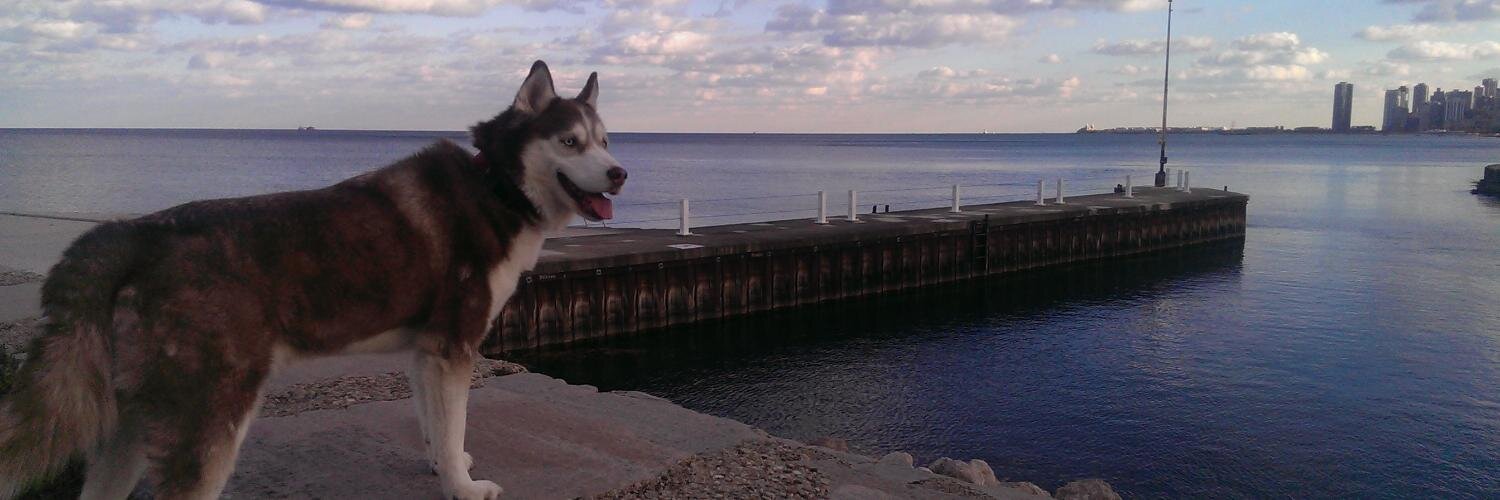 GeorgeSlefo's profile banner image