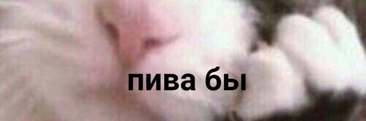 bolkonskayaaa's profile banner image