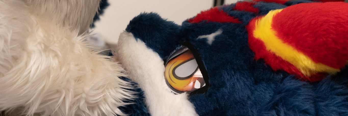 普特 banner