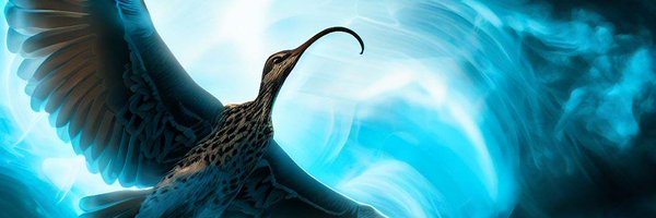 CurlewsESF Profile Banner