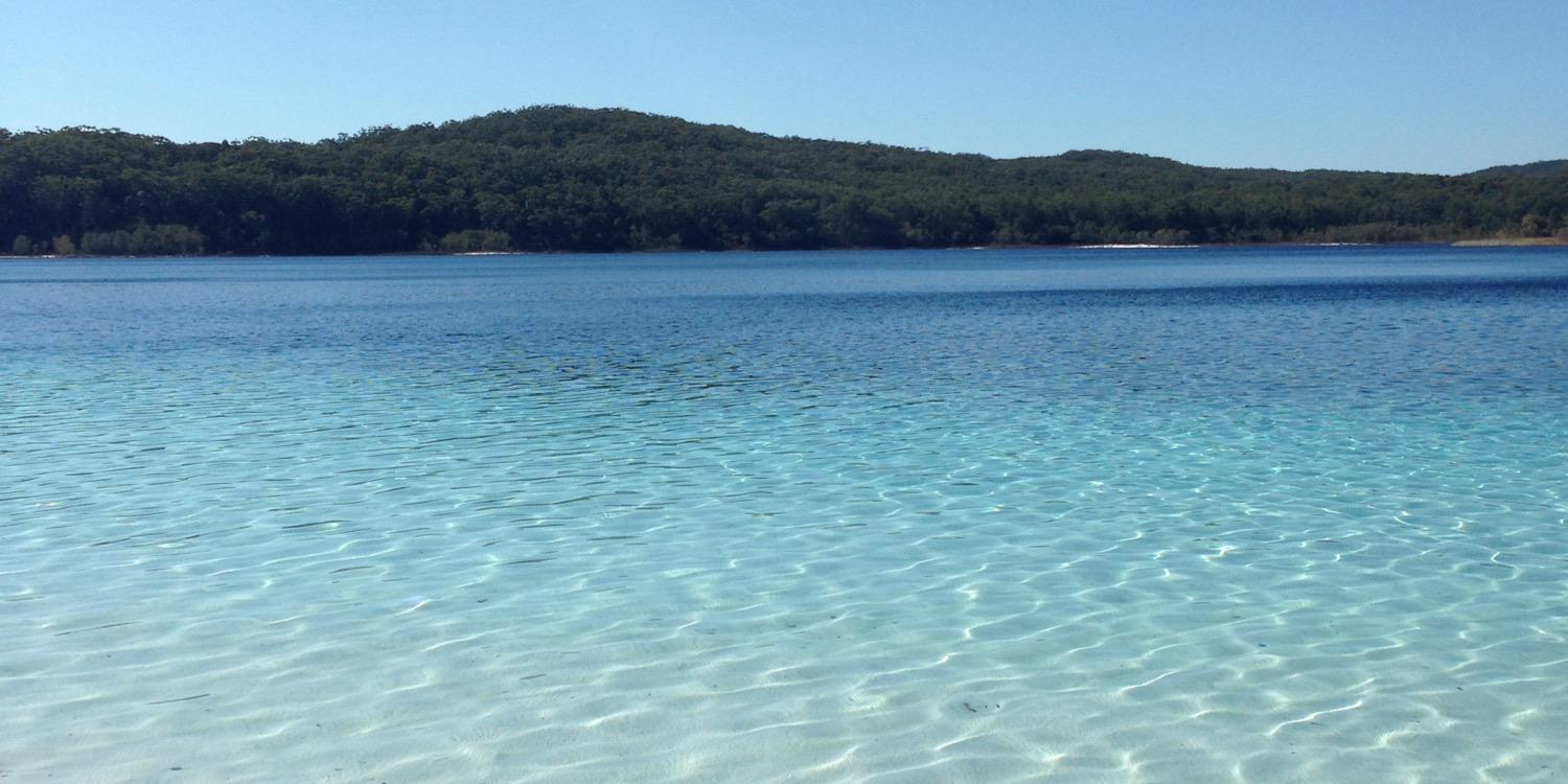 ☹ Doll Parts ☹ banner