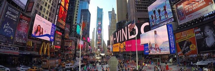 niv banner