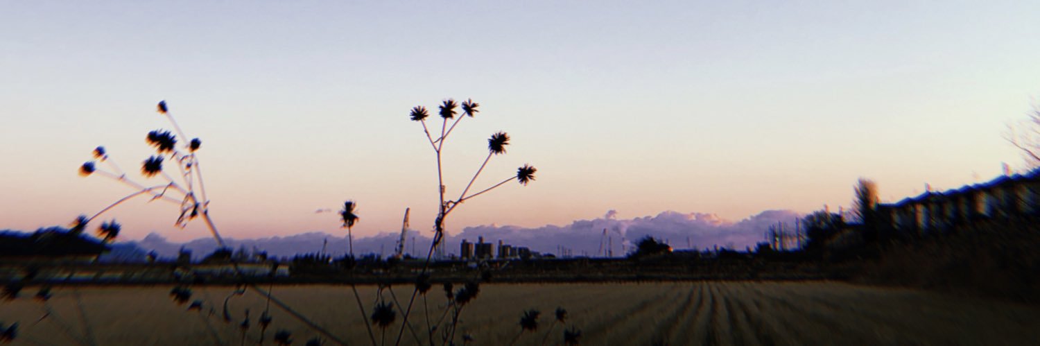 pipani_ce's profile banner image